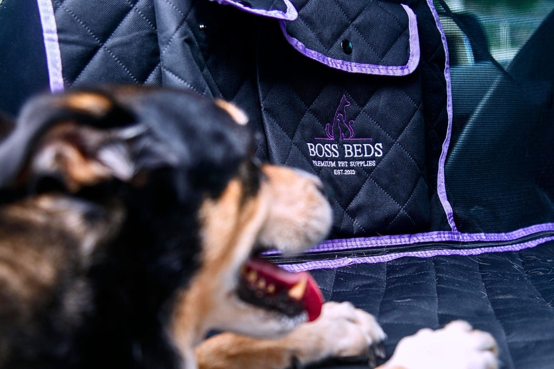 Boss_Beds_Hero_Image_with_Boss